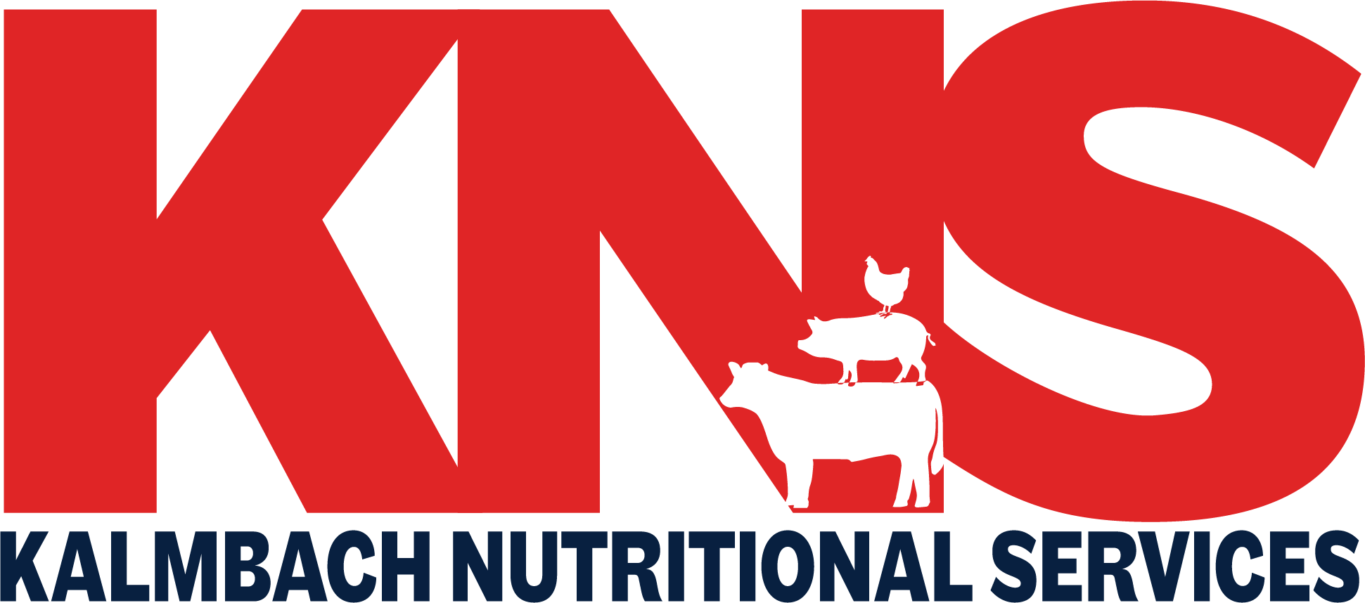 KNS logo